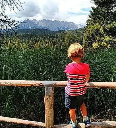 Casa Gialla Sulle Dolomiti A