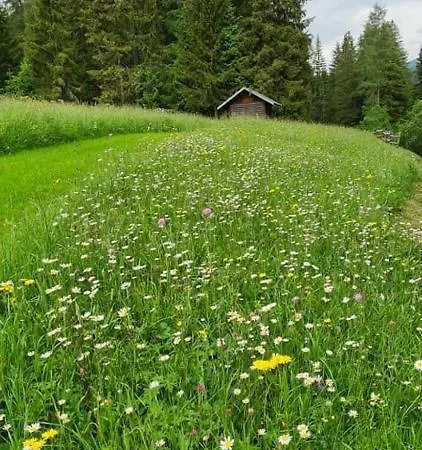 Casa Gialla Sulle Dolomiti A Feriehus Padola
