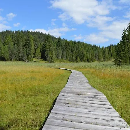 Feriehus Casa Gialla Sulle Dolomiti A *