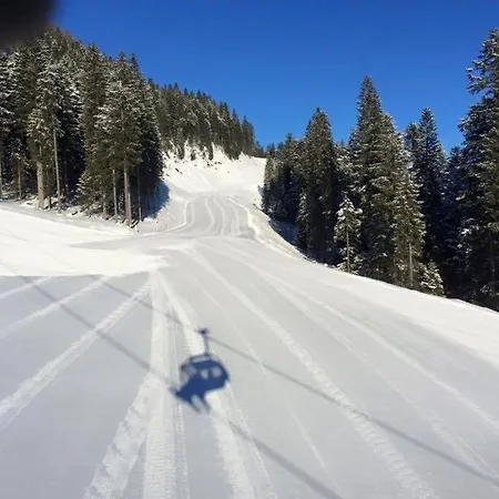 Casa Gialla Sulle Dolomiti A Padola