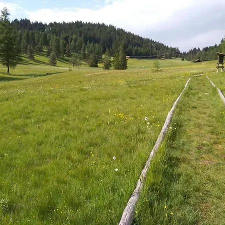 Casa Gialla Sulle Dolomiti A